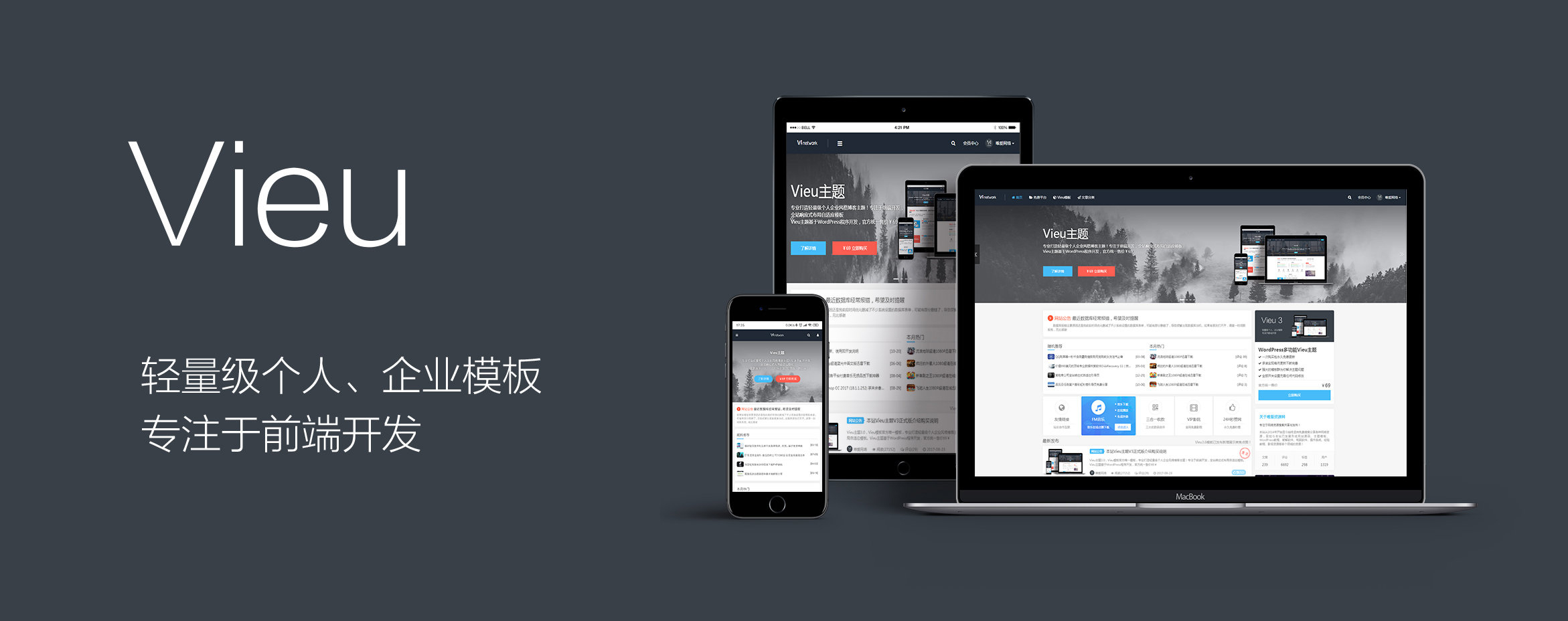本站Vieu主题V4正式版-柠檬博客